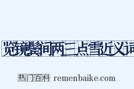 览镜鬓间两三点雪近义词是什么意思的图片